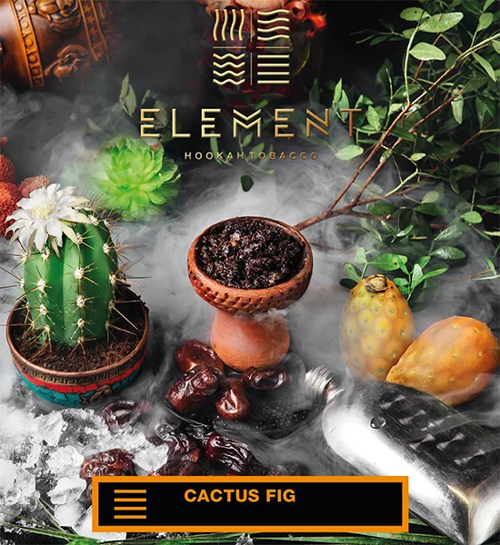 element-earth-cactus-fig-25g